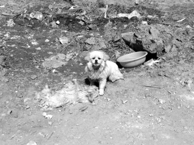 三亿体育手机版