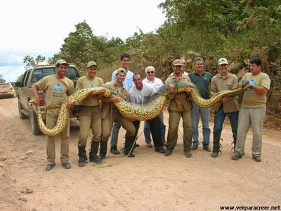 “三亿体育官网”AVCJ中国论坛:企业投资者的兴起 拉开了私募股权投资新序幕(图2) 三亿体育官网