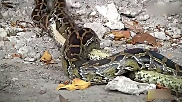 三亿体育官网:西班牙研发智能住宅 触屏墙壁能发微博(图4) 三亿体育手机版