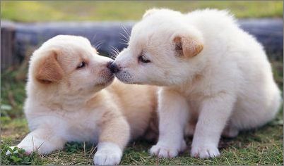 南京包皮环切手术哪家好“三亿体育”(图4) 三亿体育