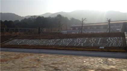 三亿体育手机版