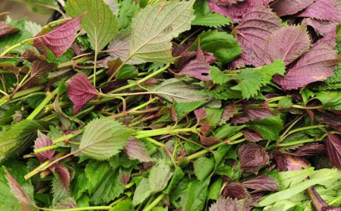 三亿体育手机版