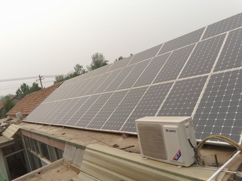 黑暗料理王珊瑚金针皇冠配方 珊瑚金针怎么做【三亿体育手机版】(图1) 三亿体育