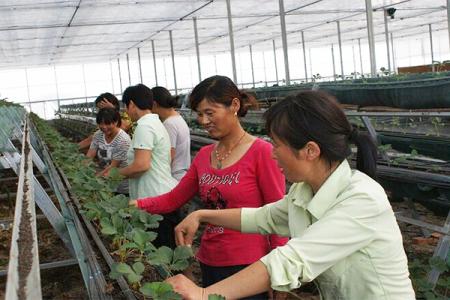 秘银之枪下载 秘银之枪在哪下载“三亿体育官网”(图2) 三亿体育手机版